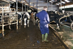 Konkurs za dodelu kredita za nabavku opreme za stočarske farme u Vojvodini