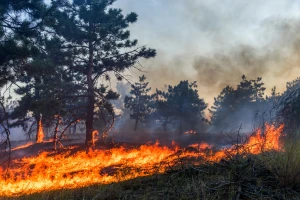 Žarišta požara dosegla nove ekstreme, ali se globalne emisije smanjuju