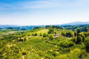U Italiji više od 800 napuštenih farmi namenjeno mladim farmerima