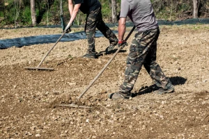 Nisu svake grabulje za sve: Od čega zavisi izbor?