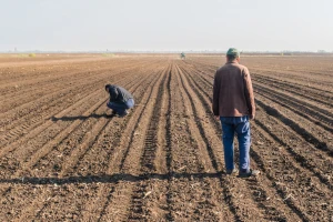 Zakup preko 900 ha državnog poljoprivrednog zemljišta u Pećincima