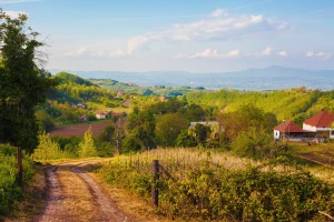 Usvojena strategija na koju se čekalo pet godina?