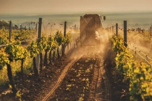 Važnost i način jesenje obrade zemljišta u vinogradu