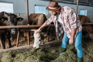 I slavni i poznati ulažu u poljoprivredu: Pomodarstvo ili biznis?