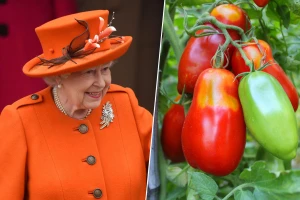 Kraljica Elizabeta se "bacila" u biznis proizvodnje kečapa i smeđeg sosa