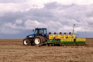 Bayer-ovim GMO semenom će biti posejano 15 odsto brazilske soje