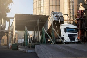 Pad cene kukuruza na robno - berzanskom tržištu