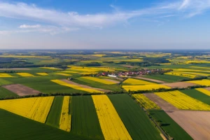 Novi zahtevi ZPP-a: Šta treba uzeti u obzir kod planiranja uzgoja?