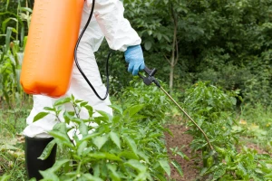 Sve je više falsifikovanih pesticida - šverceri ga prevoze kao deterdžent
