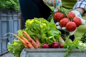 Francuska jedina primenjuje strategiju "Od njive do trpeze" - farmeri zadovoljni