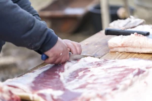 Viša cena prasadi i jagnjadi, krave za klanje - od 200 do 220 din/kg