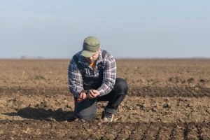 Objavljen konkurs za mlade farmere Vojvodine - 90 odsto povraćaj