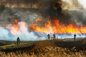 Iz MUP-a apeluju: Ne palite travu i strne useve, kazne do milion dinara