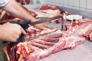 Veterinarska inspekcija zatvorila dve firme za proizvodnju hrane