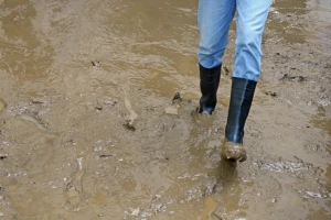 Poplave u jugozapadnoj Srbiji, raste vodostaj Lima i Ibra, Grabovica se izlila