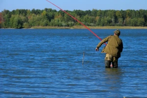 Kako osloboditi vojvođanske vode invanzivnih vrsta riba?