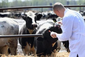 Upotreba antibiotika: UN predlaže globalno smanjenje, EU zabranu od januara 2022.