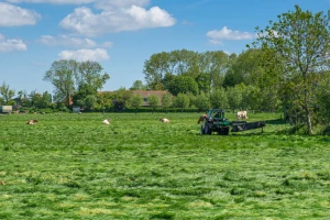 Pašnjaci - oslonac u doba visokih cena žitarica i uljarica