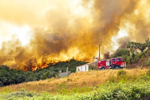 Šume u Italiji gore zbog prenamene zemljišta na kom će da "rastu" solarni paneli?