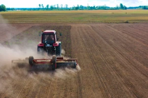 Lažna setva umesto herbicida: kada i kako se obavlja?