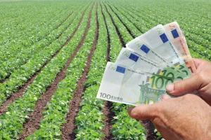 Predstavila se kao posrednik u kupovini njive - 12.000 evra zadržala za sebe