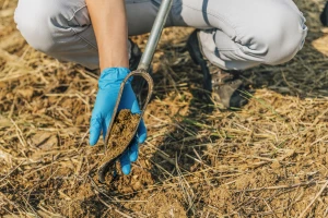 Koje greške se prave prilikom analize zemljišta i šta utiče na pH vrednost?