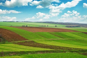 U toku prijave za licitaciju državnog zemljišta u 20 gradova i opština