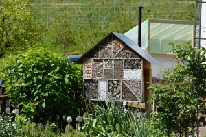 Čemu služi hotel za insekte - kako i od čega ga napraviti?