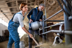 Selo bolje od grada? Objavljeni zanimljivi podaci o rodnoj ravnopravnosti u ruralnim područjima