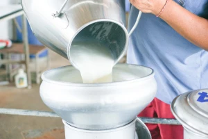 Isključene farme iz otkupa mleka zbog povišenog nivoa aflatoksina