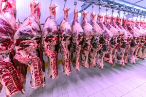 Argentina će prepoloviti izvoz govedine zbog visoke cene na domaćem tržištu