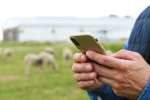 Kome nisu isplaćene subvencije u stočarstvu - nek prijavi Agroprofitu
