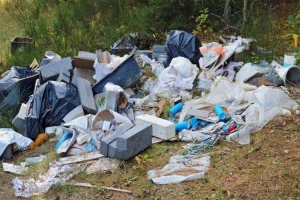 Kuda ću sa šutom ili starudijom iz podruma? U kanal, šumu, reku