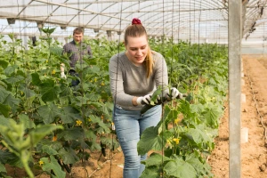 Agroekologija je novi put u poljoprivredi - još uvek trnovit u Poljskoj
