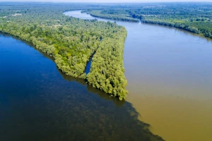 UNESKO proglašava rezervat biosfere Mura-Drava-Dunav u pet evropskih država