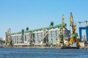 Konstanca: Nada za izvoz srpskog žita ili ogledalo pogrešnih investicionih procena