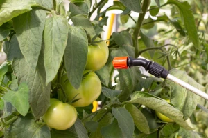 Sintetičke pesticide mogu zameniti bakterije i nematode