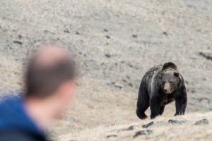 Medved napao pastira na Vlašiću, lekari mu pokušavaju spasiti nogu
