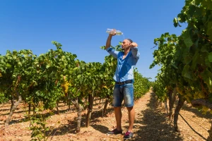 Vrelo miholjsko leto u septembru - slede iznadprosečne temperature