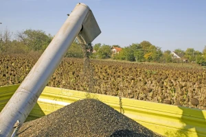 Izvoz ukrajinskog suncokretovog ulja i dalje na rekordnom nivou