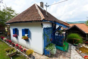 Kuće i stanovi onima koji žele da se dosele u knjaževačka sela