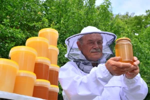 Raste cena bagremovog i kreće otkup meda u saću