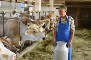 Odbor IPA odobrio IPARD III program - šta možemo da očekujemo?