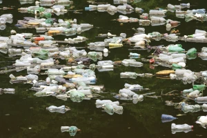 Dogovorena hitna intervencija i čišćenje Potpećkog jezera od plutajućeg smeća