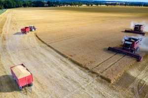 Brisel: Ruske kampanje o prehrambenoj krizi su dezinformacije? Šta planira EU?