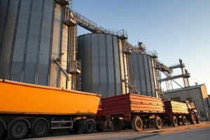 Rast cene kukuruza i pšenice, soja - 50 din/kg bez PDV-a