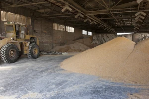 Na Produktnoj berzi najviše se trgovalo pšenicom po ceni od 20,08 din/kg