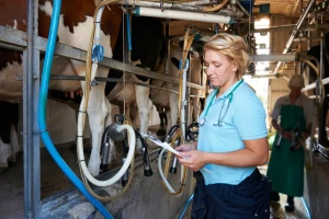 Ocena agrarnih analitičara o Zakonu o uređenju tržišta - nejasan i preopširan?