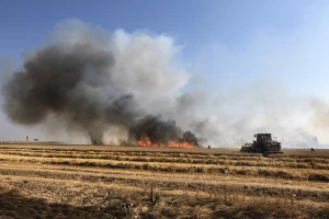 Gore mađarska polja - zrelom žitu prete požari