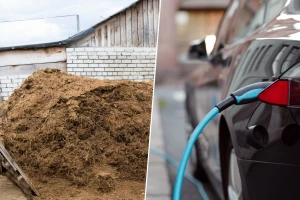 Đubrivo kao gorivo: Kravlja balega pokreće električna vozila